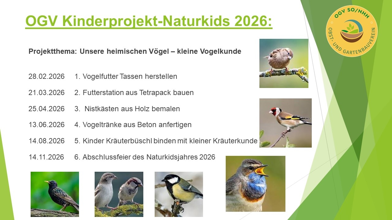 Plan Naturkids 2026