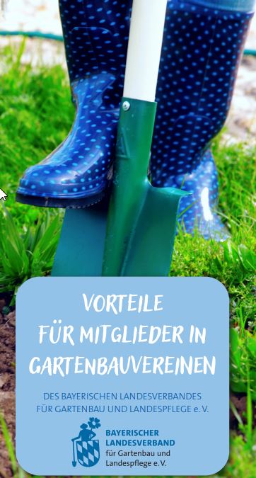 Titelbild Faltblatt