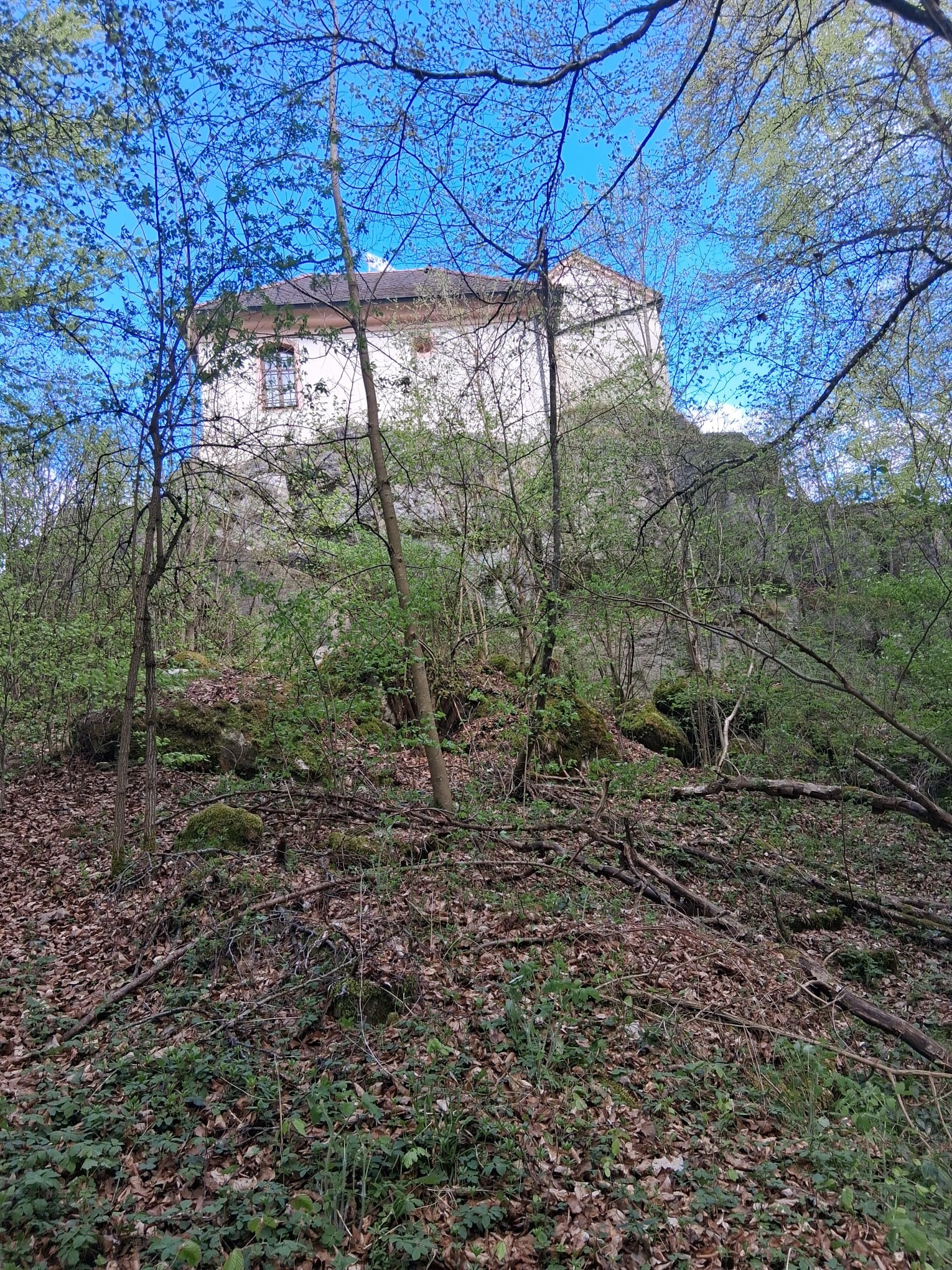 Bild Zuschauer